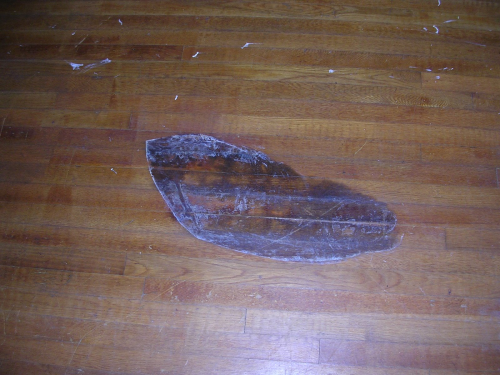 Damaged Wood Floor